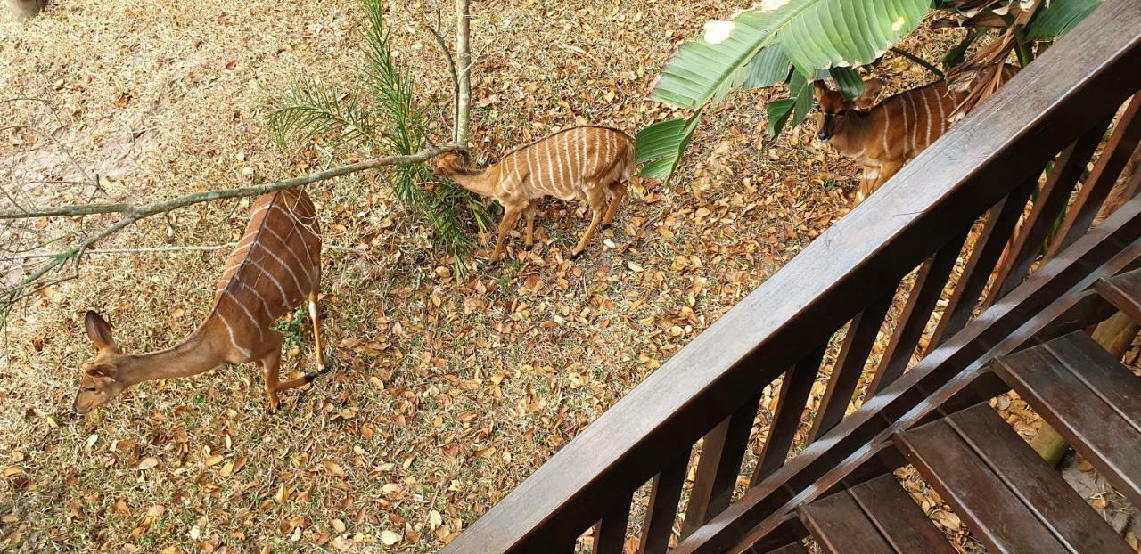 House 53 Sodwana Bay Lodge 外观 照片
